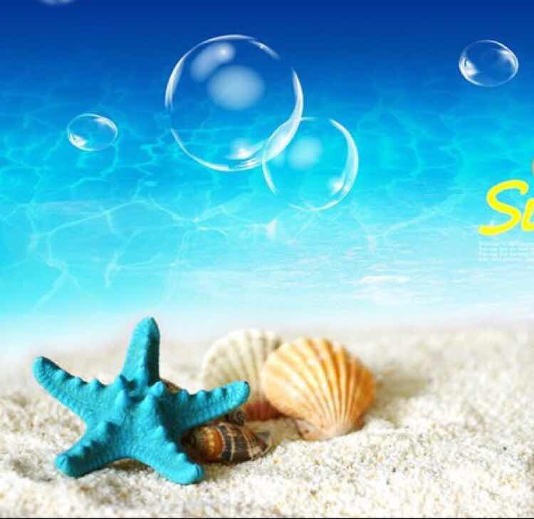 海星海星海贝海贝