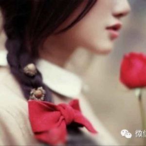 灰灰的黑心黄芩g婷