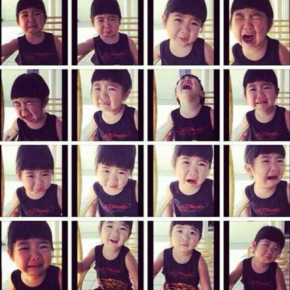 爱吃清口小炒的柑橘