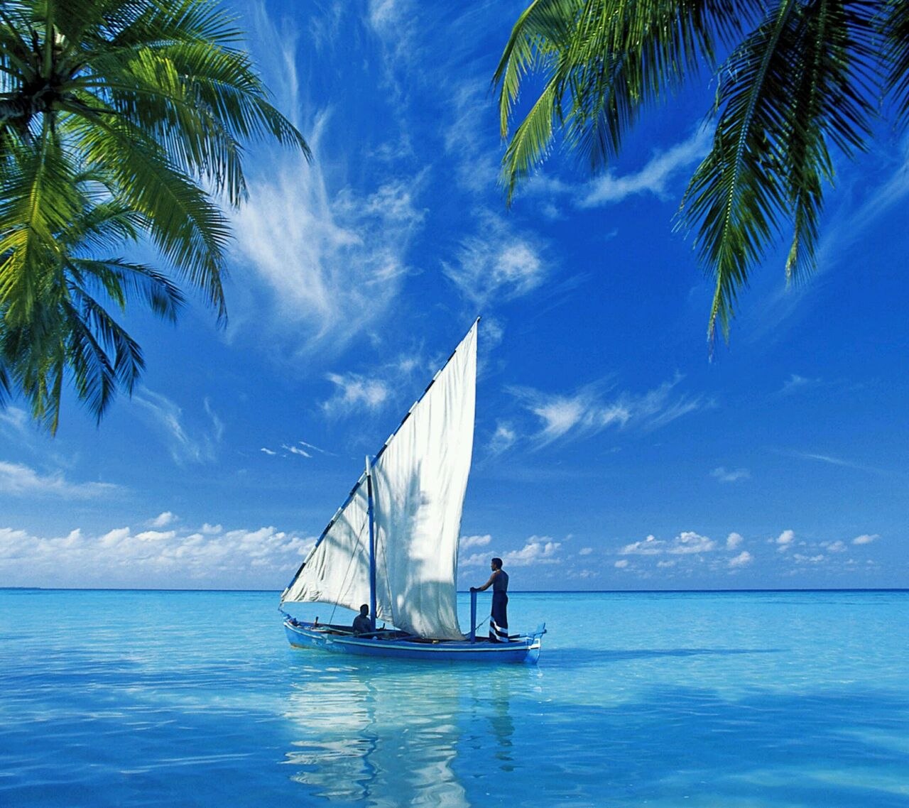 爱吃上海冷面的顾念