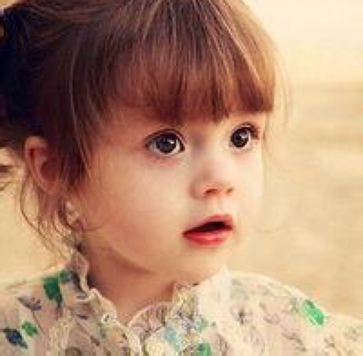 向阳小草丶暖暖好