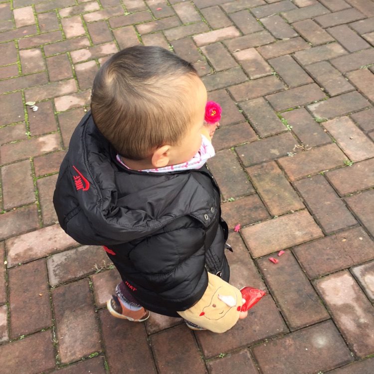 白白白白白胖胖胖丫