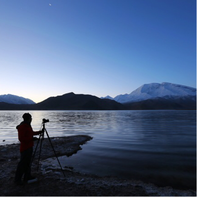 猫大侠与黄小鸭