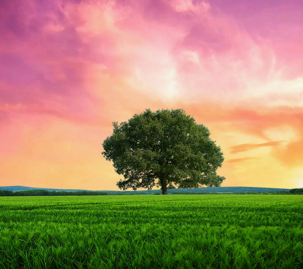 喝旺仔de天行者19