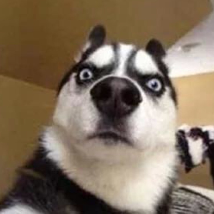 不想买东西的小周