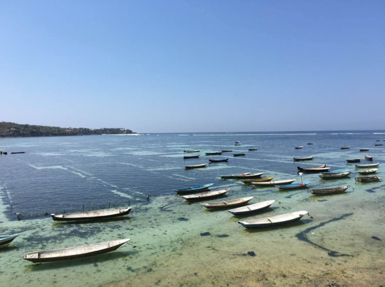 可爱的咖色宝贝