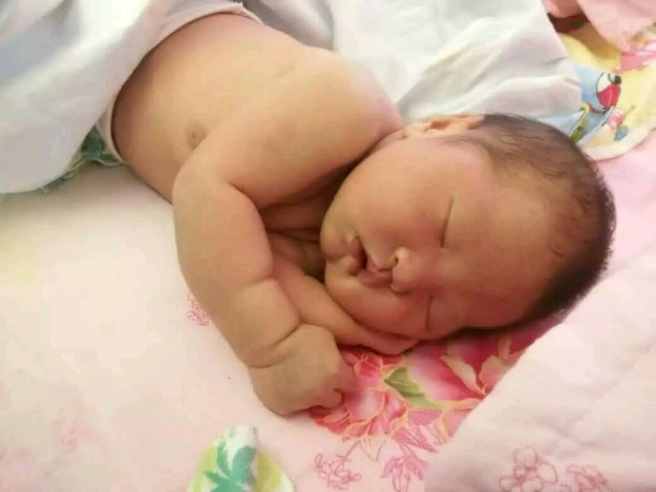 爱吃芒果雪條的月亮