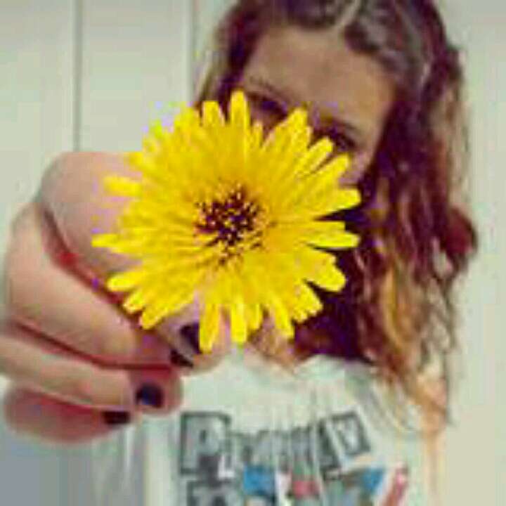 爱吃鲜虾馄饨的放假者