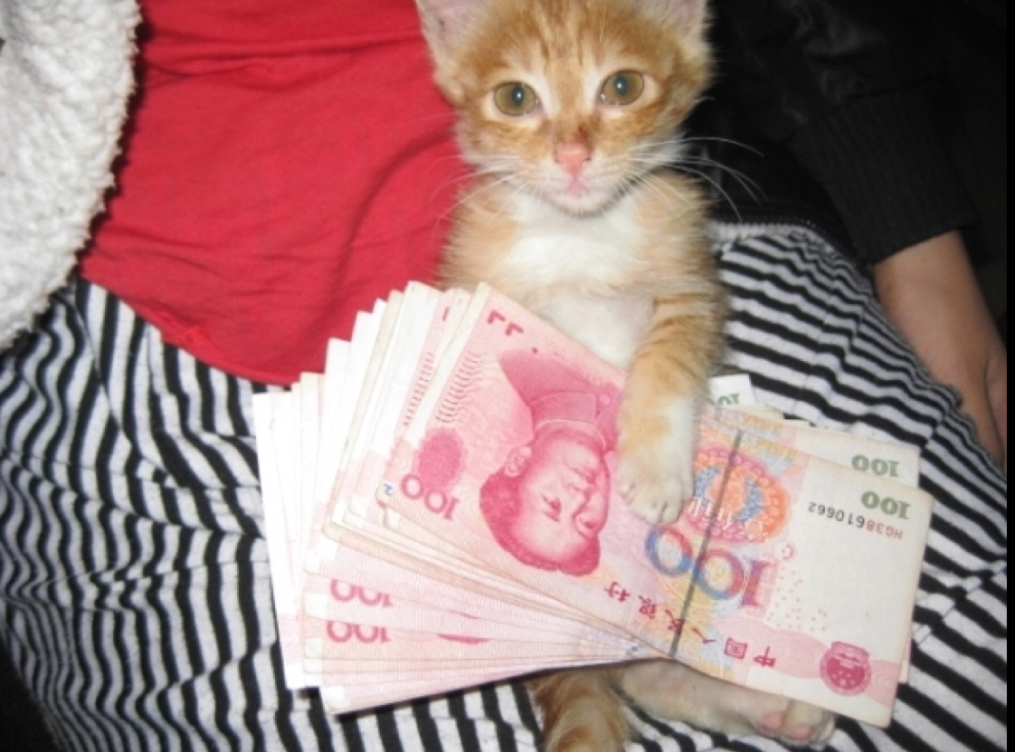 爱吃双色豆腐的阿狸