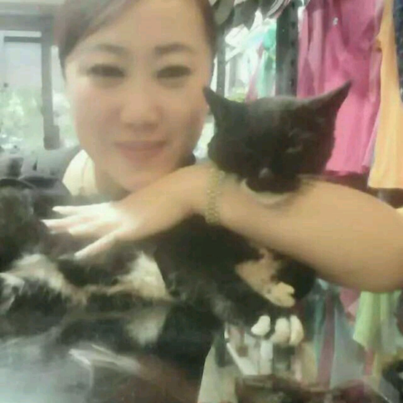 爱吃一品蛋酥的小松鼠儿选