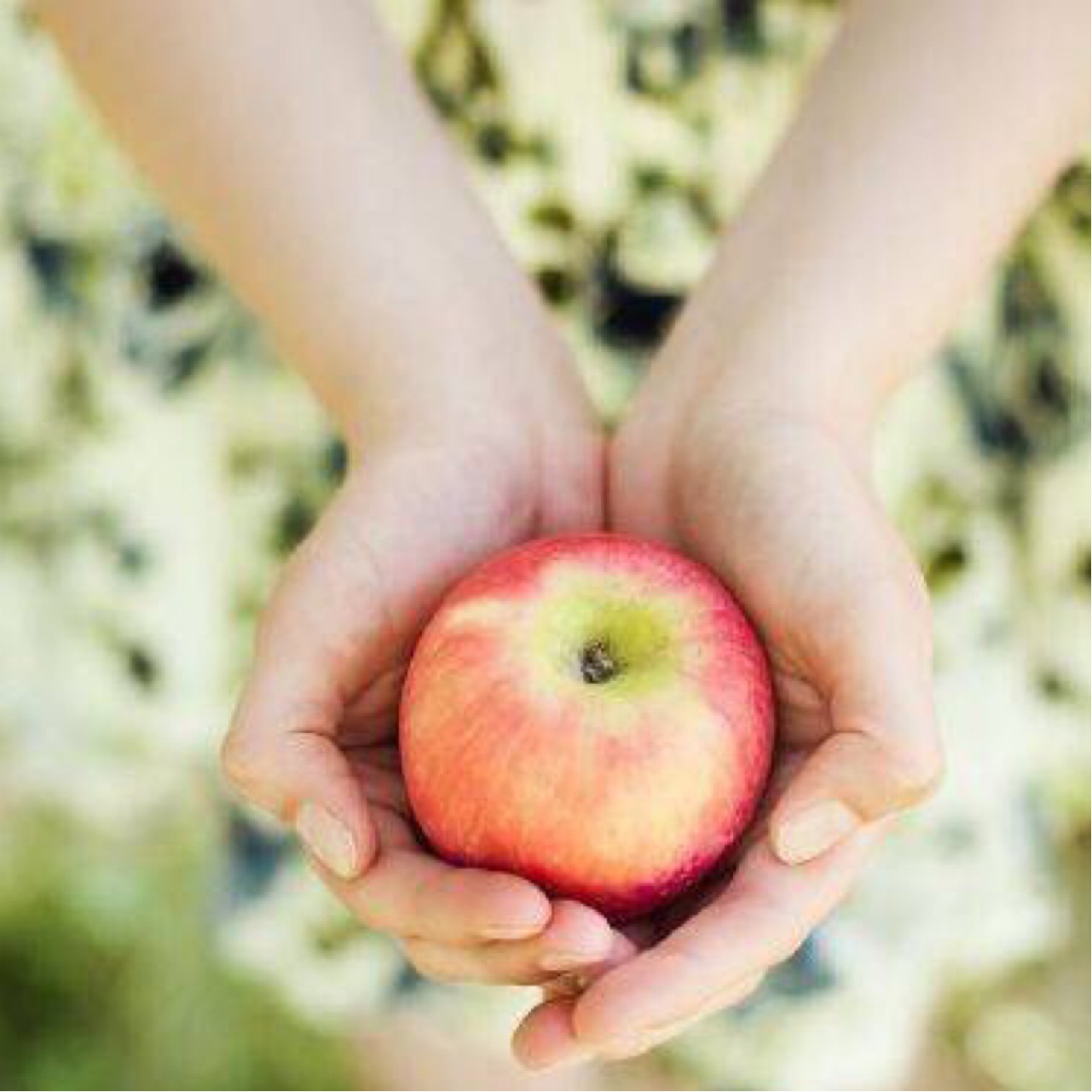 银灰的亚姓梧桐