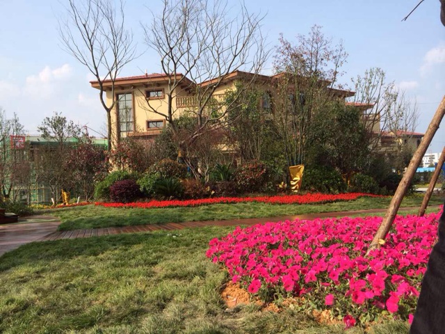 爱吃剁椒包菜的星河