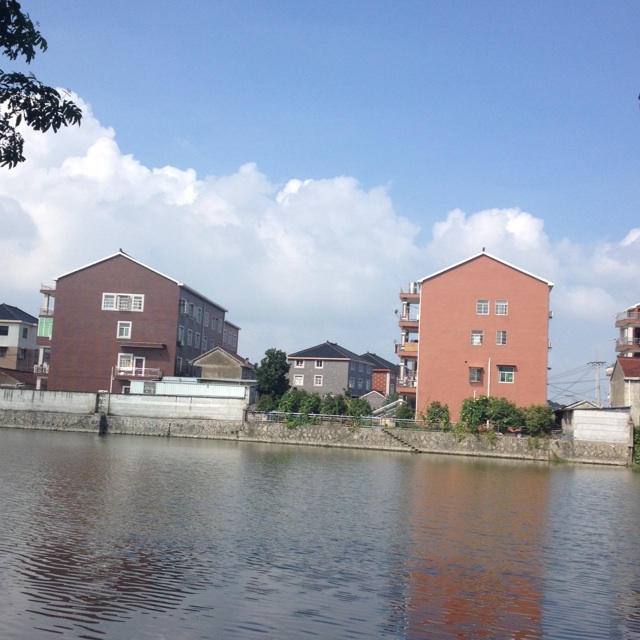 大王叫我来巡山