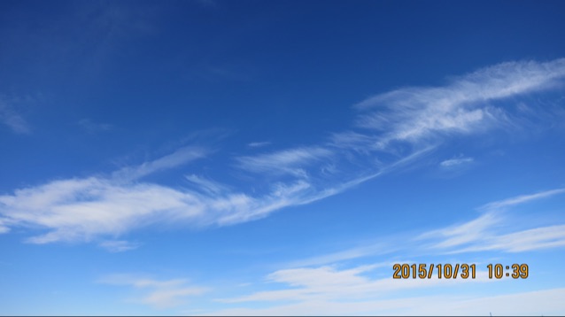 粉白的东云朱朱