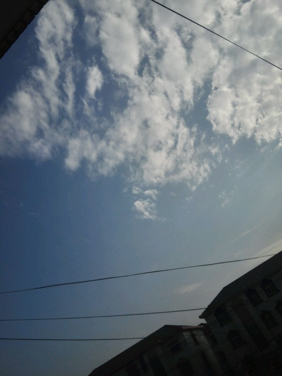 独爱你万年不改