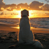 小破孩的经典回忆