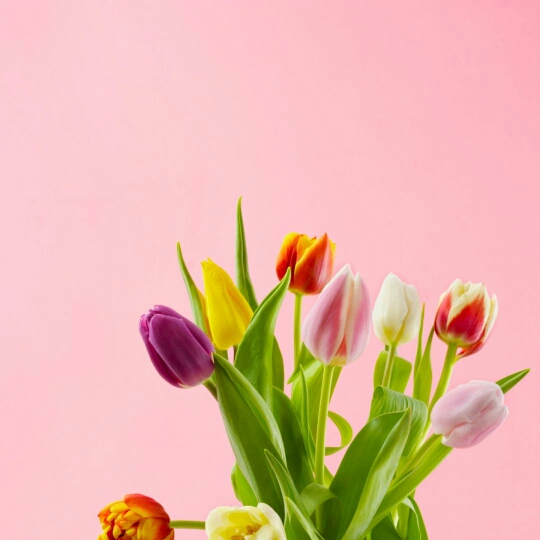 别让我们一生变成回忆