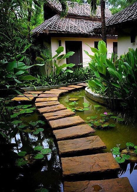 爱吃腌大头菜的画家