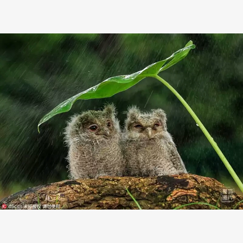 我的昵称就是你的名字