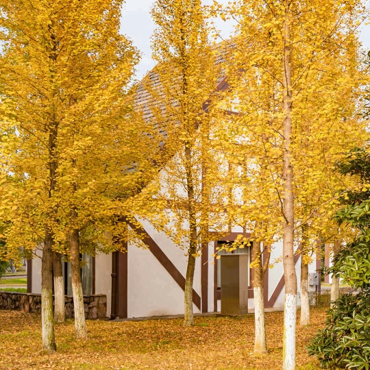 爱吃双茄拌菜的某某某