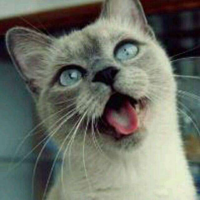 吃西瓜吐不出香蕉皮