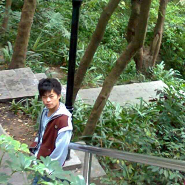 如果你是我的传说了