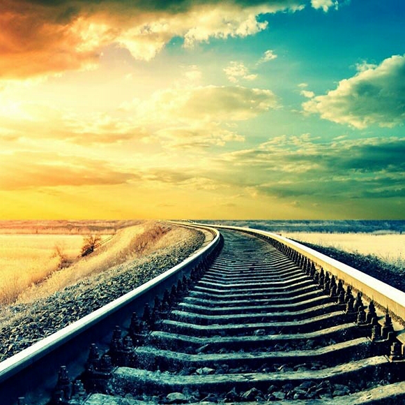 爱睡觉的汪星人