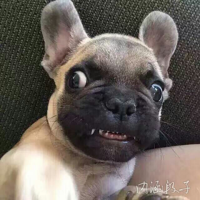 小螺号滴滴的吹