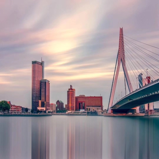 爱吃椒香猪蹄的薄荷