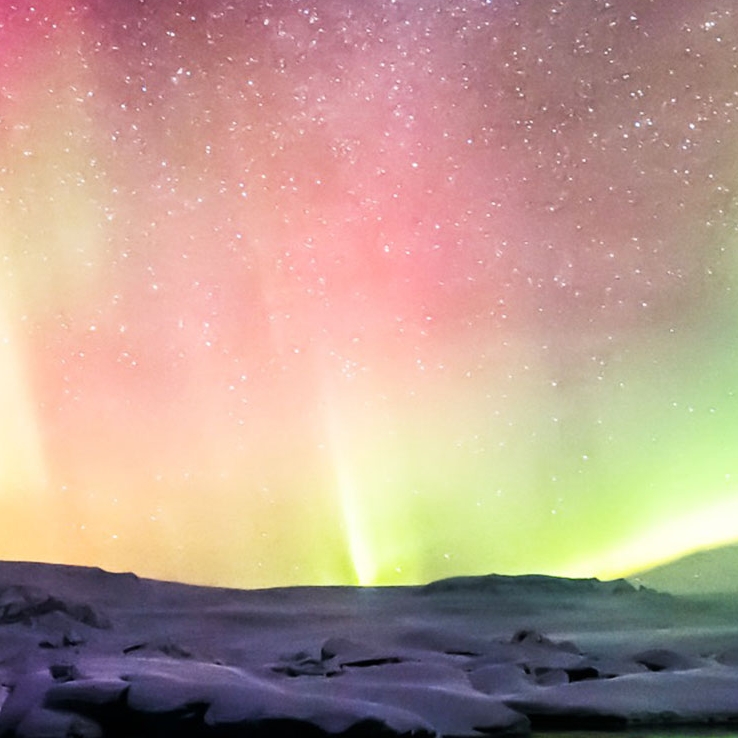 爱吃桑葚酒冻的薏米