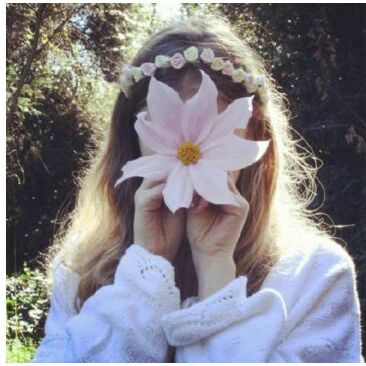 可心小猪已经被注册