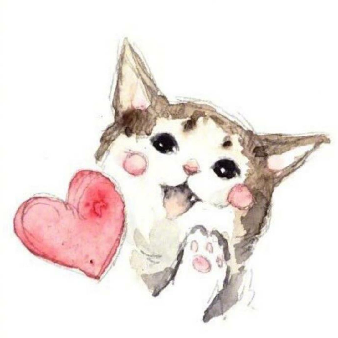 静静地小仙子22