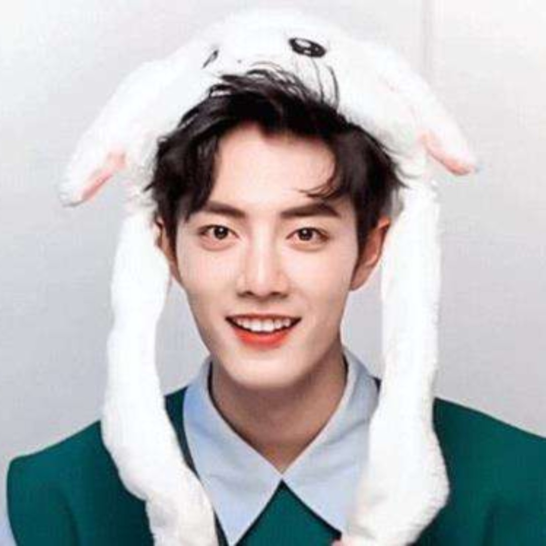 没有腹肌的懒猪