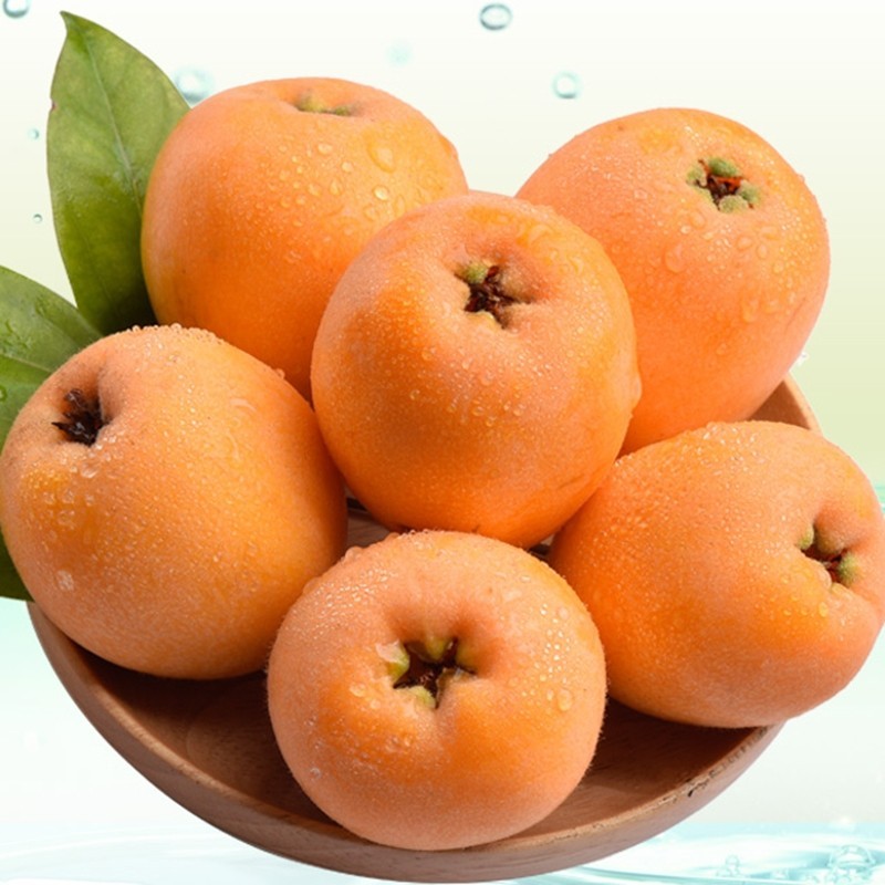 情非得已要奋斗