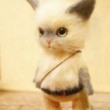 是豆豆不是兜兜^-^