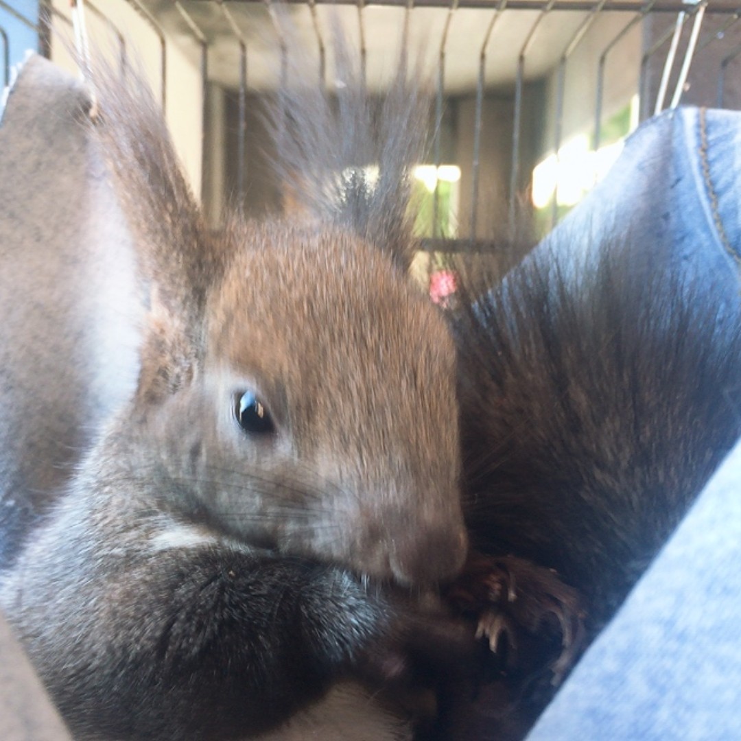 我与神明画押赌你心动一刹