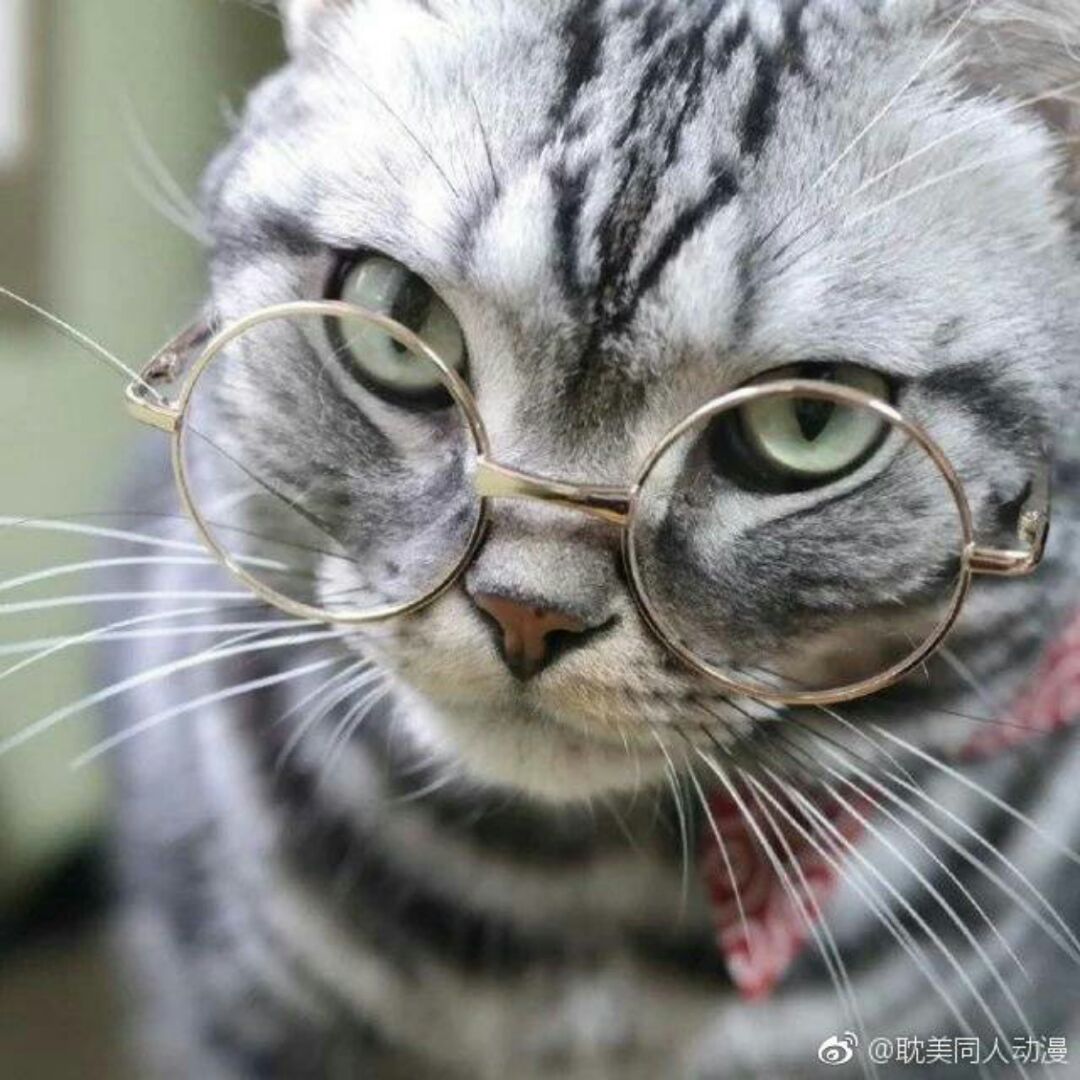 谁家的小娘子呢