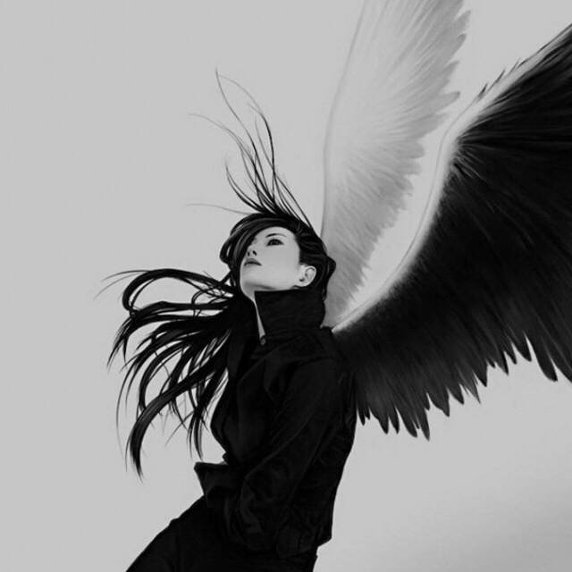 钱遇有缘人95888