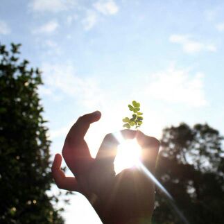 透过手心de阳光