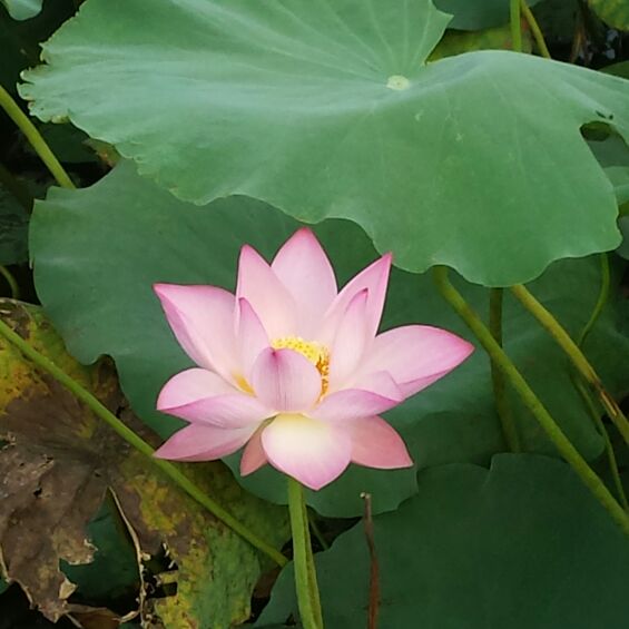 相信自己的人生目标