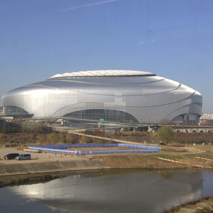 无敌发财栀子花