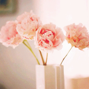 跑不动的胖子吖