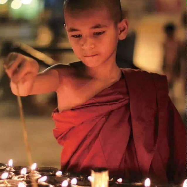 戴眼镜的小胖纸886