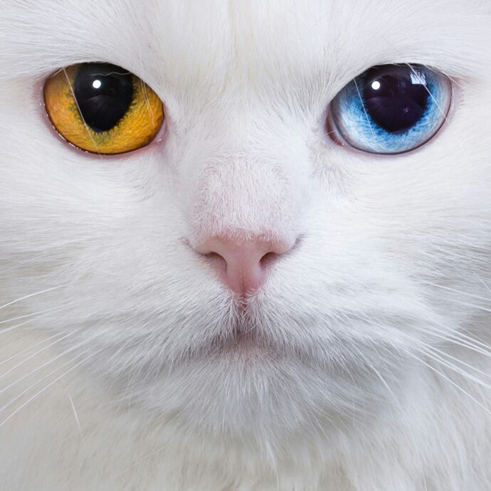 大家都叫我邱优秀