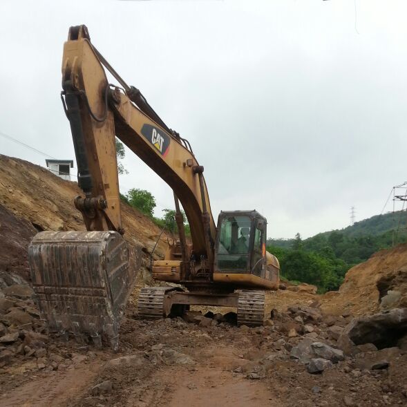 形单影只的蚂蚁