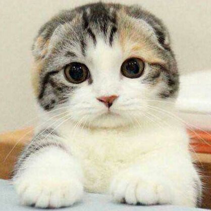 润润是个大宝宝