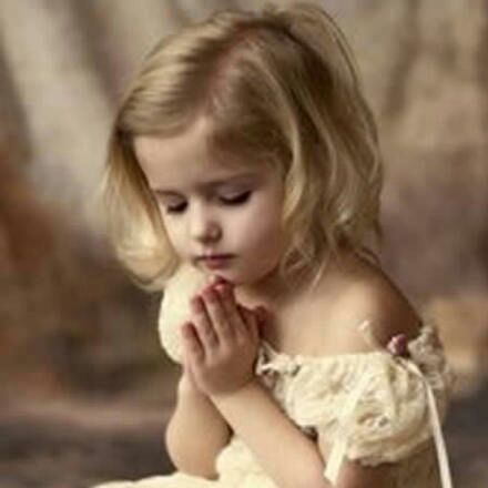 爱吃一品赤参的驾驶员