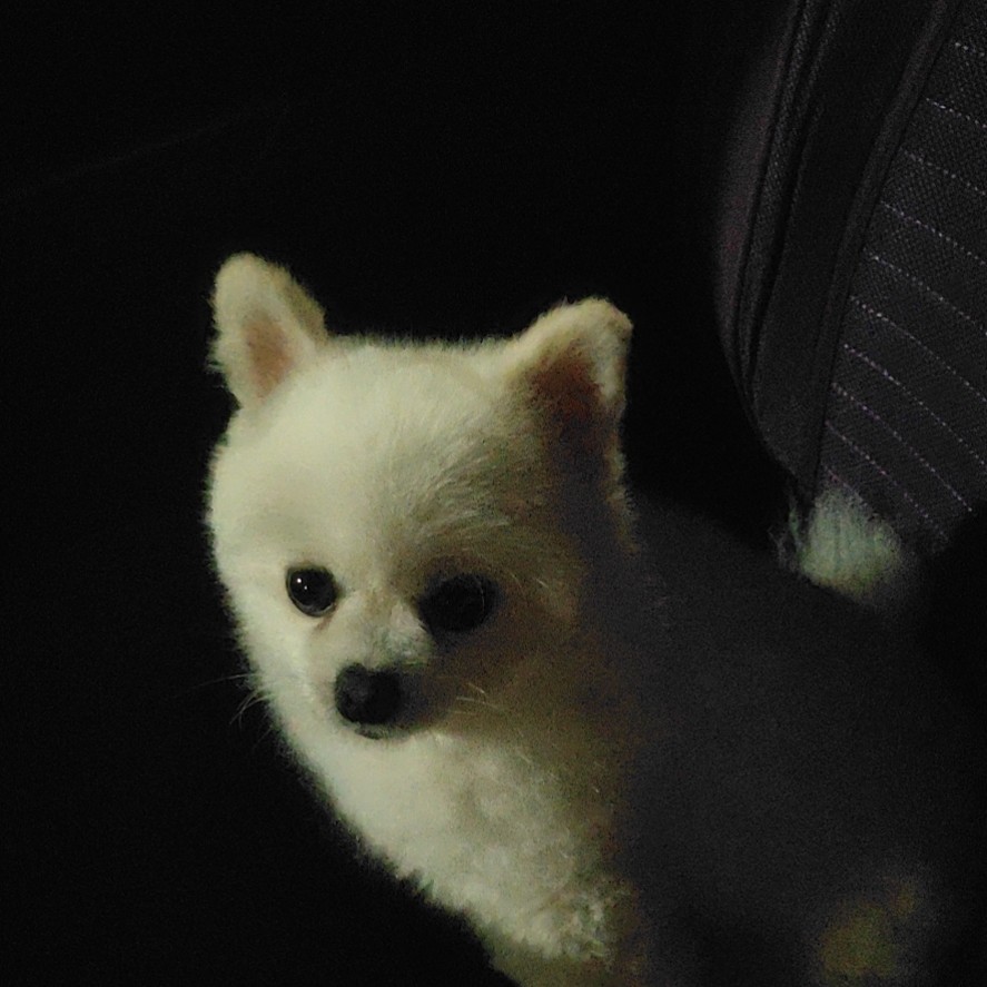 十年的漁儿^(00)^