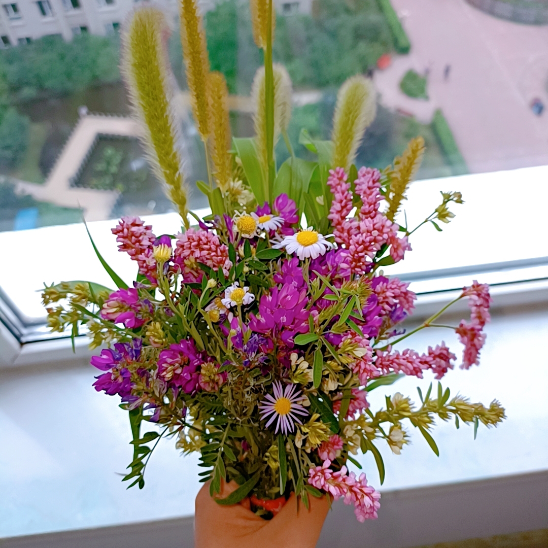 等你顺便等花季