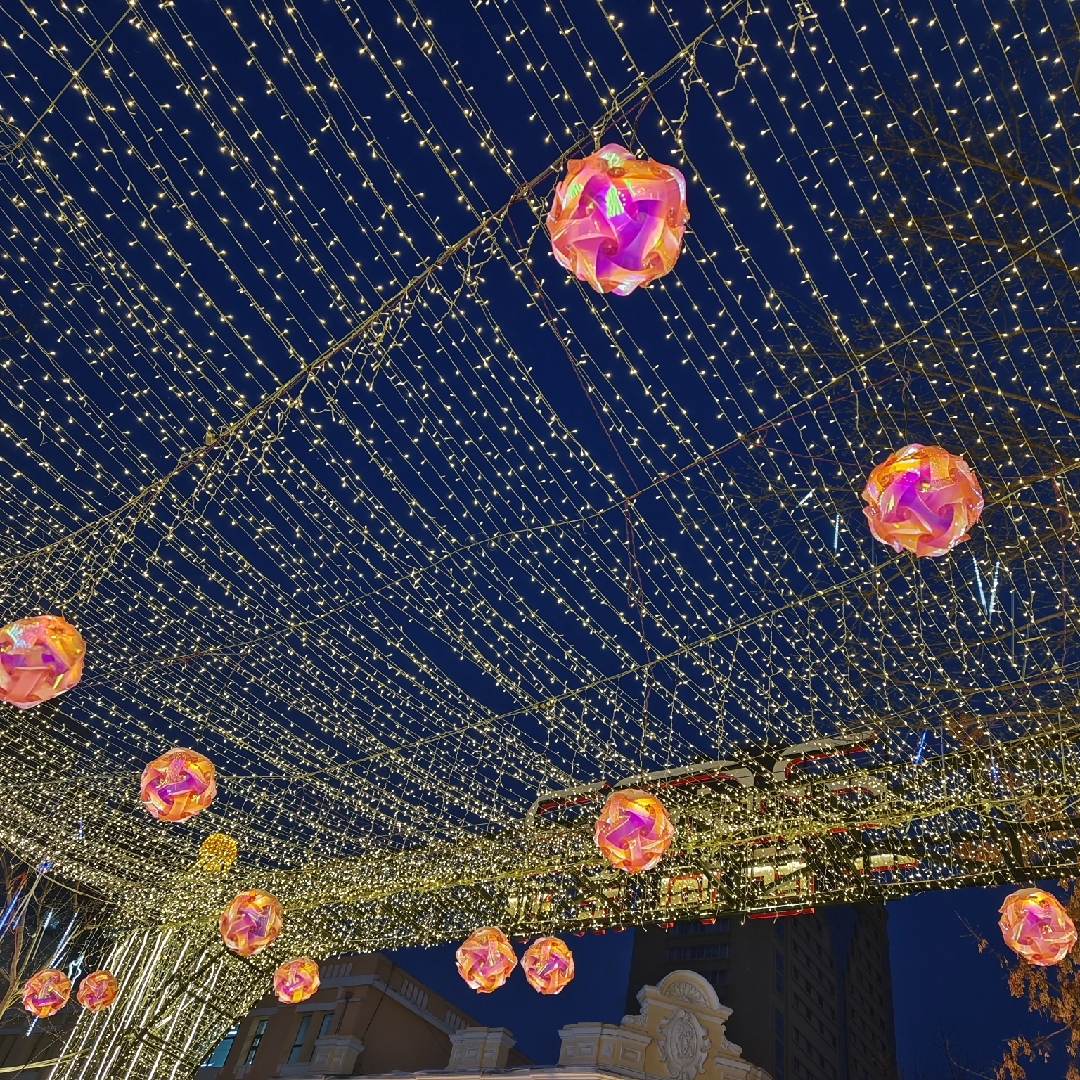 浅紫色的蔓斑鸠菊